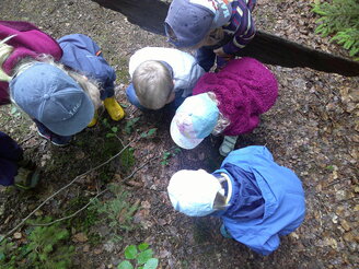 Kinder forschen im Wald.